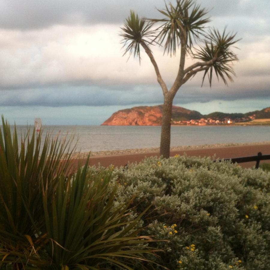 Cedar House, Formerly Shamrock House Llandudno Bagian luar foto